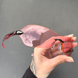 Dartboard Rose Haste Rosa