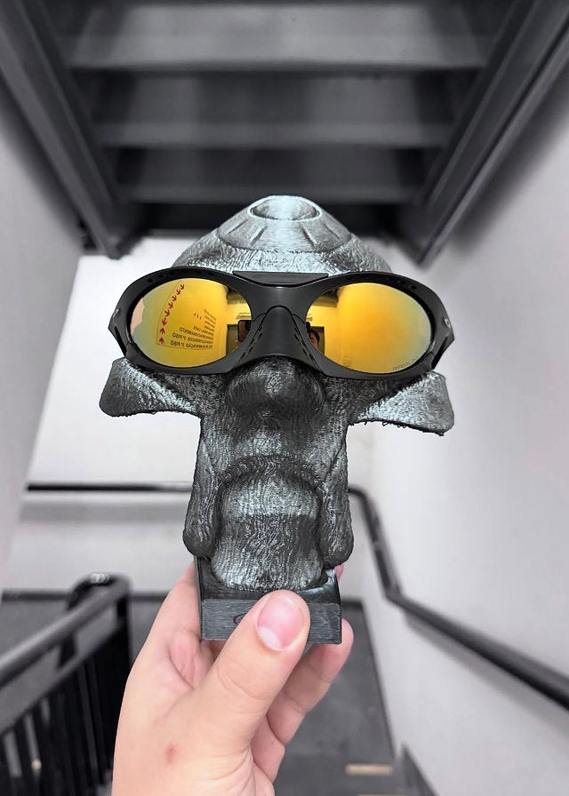 Plantaris Black Gold (3x1)