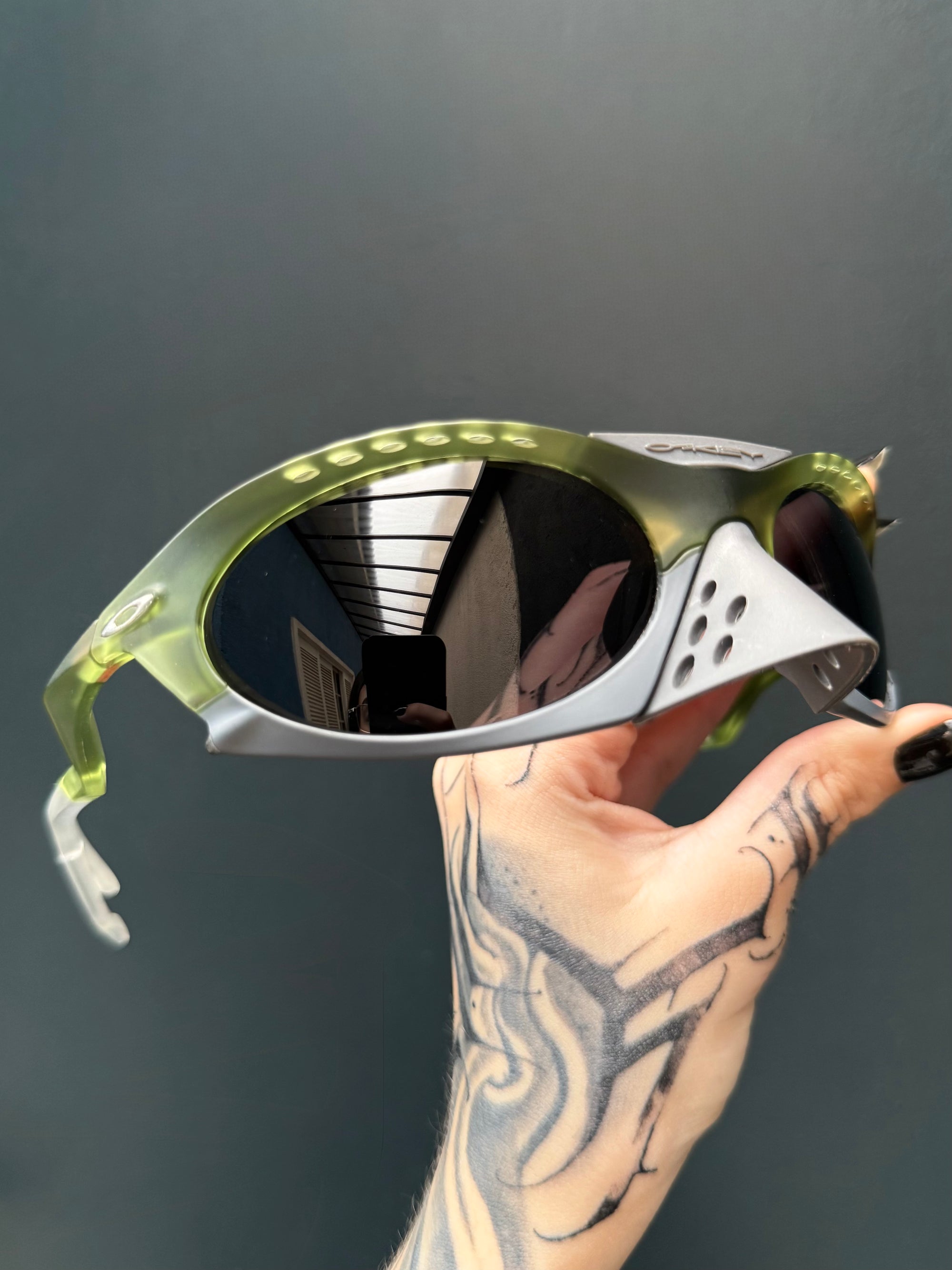 Plantaris Transparent Fern Black