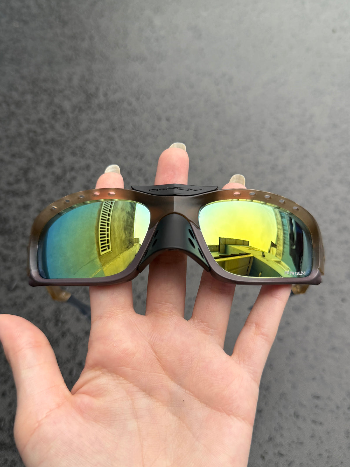 Plantaris SQ Matte Sepia 24K Gold